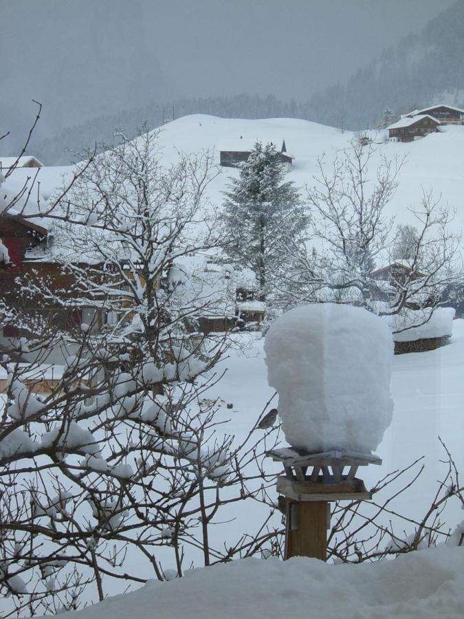 Urlaub Bei Moses Apartment Schoppernau Exterior photo